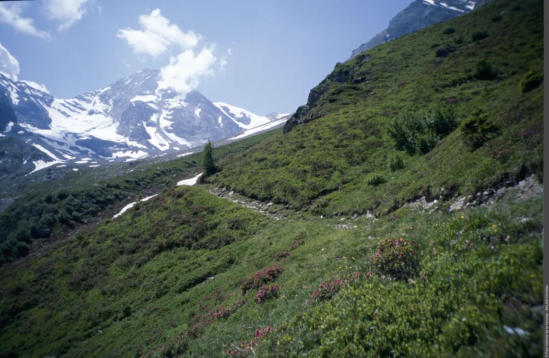Randonnée Du refuge de La Martin au refuge de Turia · Villaroger