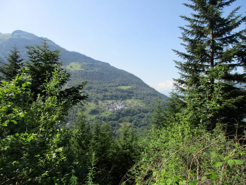 Randonnée La Grande Forêt (B22) · La Léchère