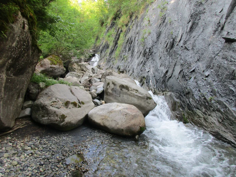 Randonnée Boucle de La Douceraine : à la découverte des alpages et forêts du Morel · La Léchère