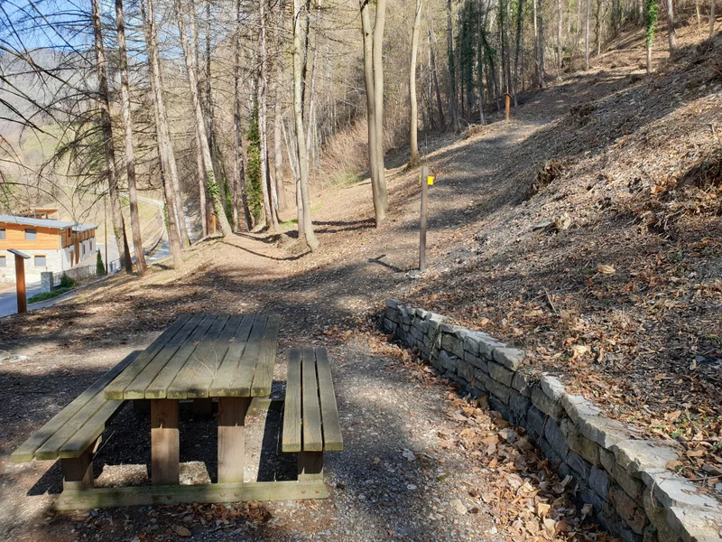 Randonnée Arboretum des Nantieux : sentier découverte dans la forêt communale de Saint-Marcel · Pomblière