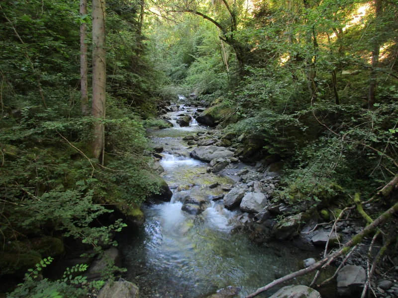 Randonnée Les passerelles de l'Eau Rousse (B20) · La Léchère