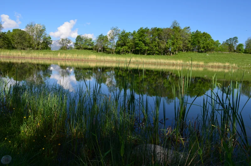 Randonnée Le lac du Loup : escapade nature en famille · Saint-François-Longchamp