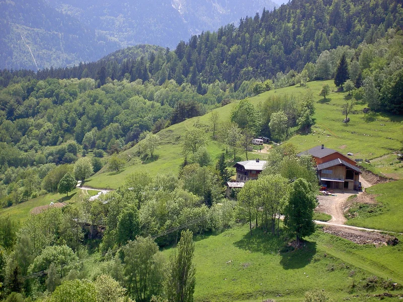 VTT 26-Entre forêt et alpage de la Faverge · Hautecour