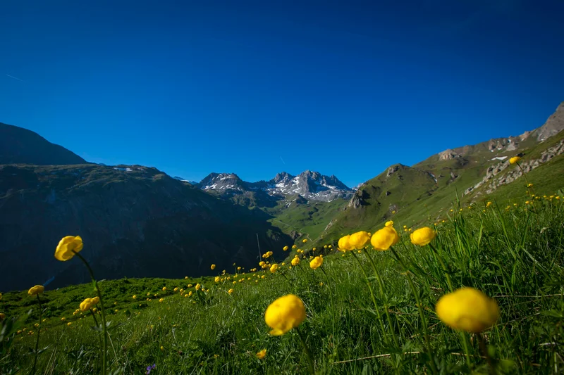 VTT 25-Explorez la vallée sauvage des Avals · Courchevel