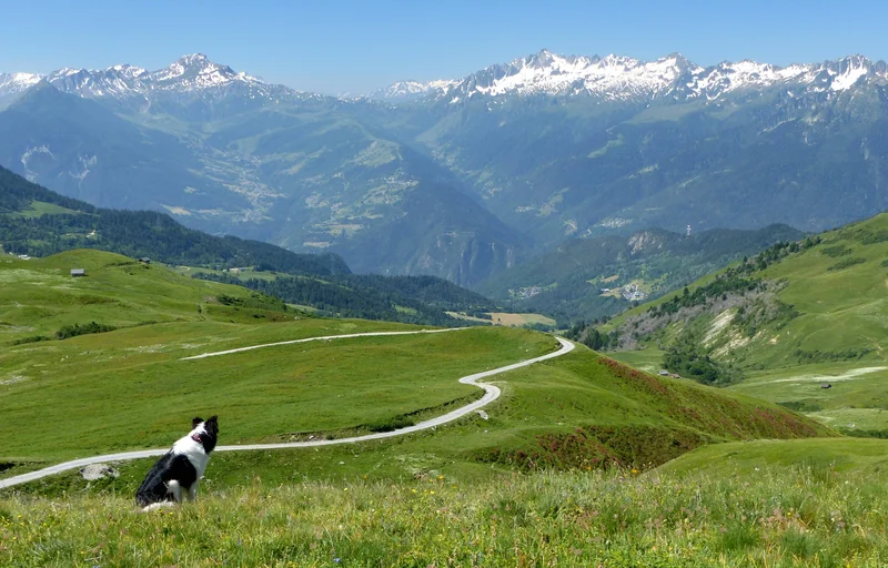 VTT Découverte à vélo des alpages de la vallée de Nâves · La Léchère