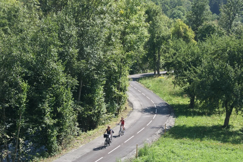 VTT 15-Au fil de l'Isère, entre forêt et villages de caractère · Bourg-Saint-Maurice