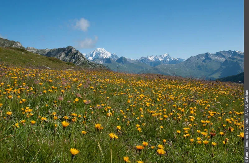 VTT Le tour de l’Aiguille Grive · Peisey-Nancroix