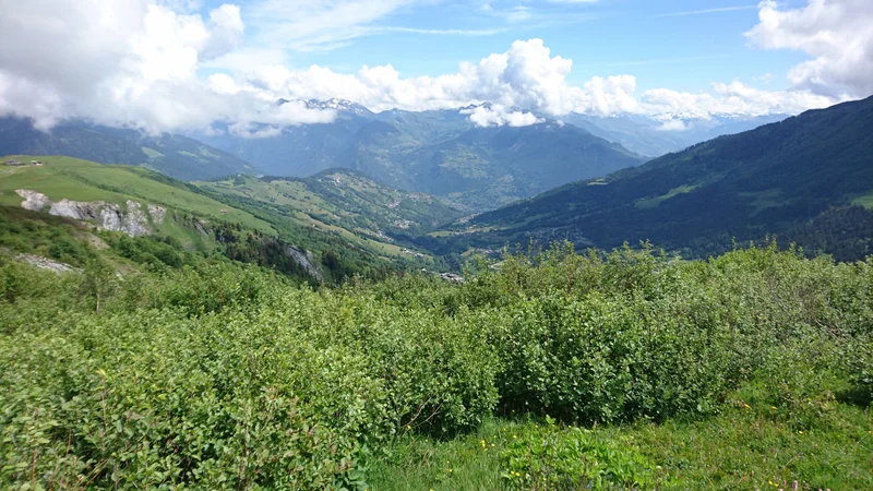 Trail Trail des Cascades du Morel (7 bleu) · Les Avanchers-Valmorel