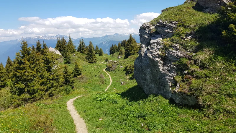 Trail Marathon de la Lauzière · Les Avanchers-Valmorel