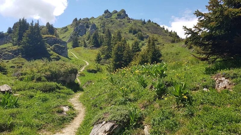 Trail K.-V. de Crève Tête · Les Avanchers-Valmorel