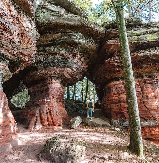 Randonnée Circuit du rocher de l'Altschlossfelsen · Roppeviller