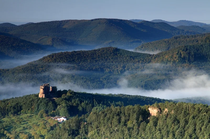 Randonnée Trésor des Vosges du Nord : De château en château · Lembach