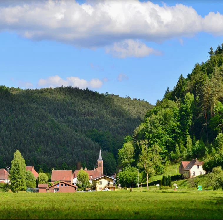 Randonnée Autour des moines de Sturzelbronn · Sturzelbronn