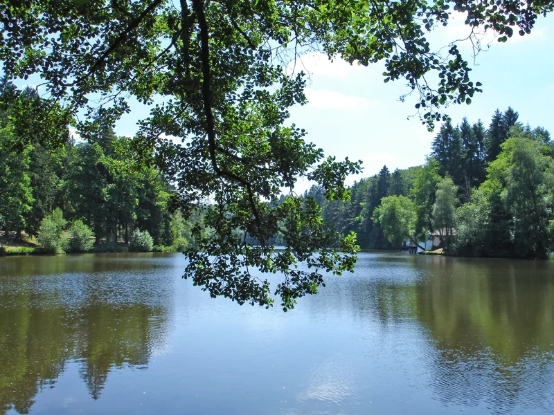 Randonnée Autour de l'étang de Hasselfurth · Bitche
