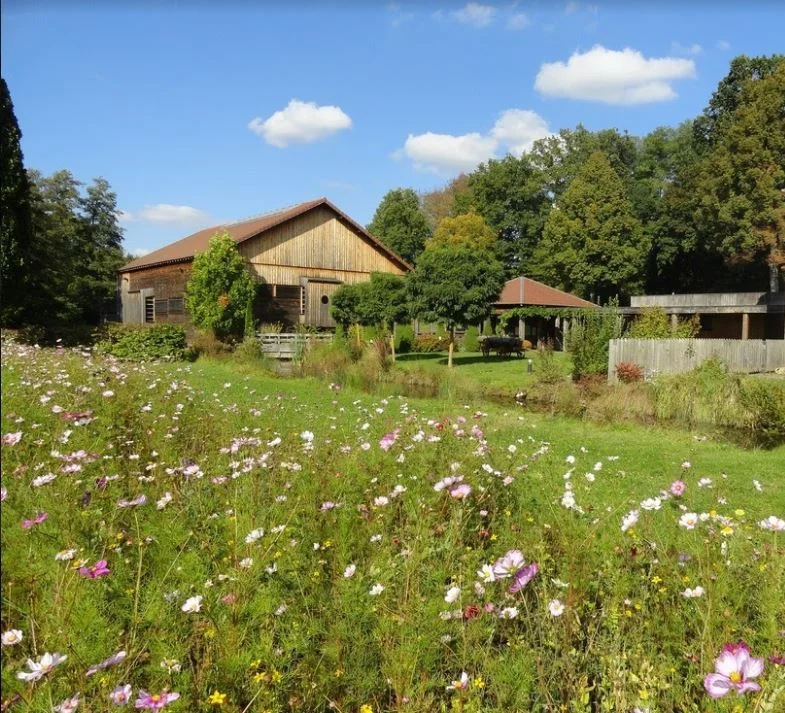 Randonnée Moulin d'Eschviller et chapelle Saint-Joseph · Eschviller