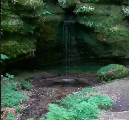 Randonnée Autour des cascades et de l'ossuaire de Schorbach · Schorbach