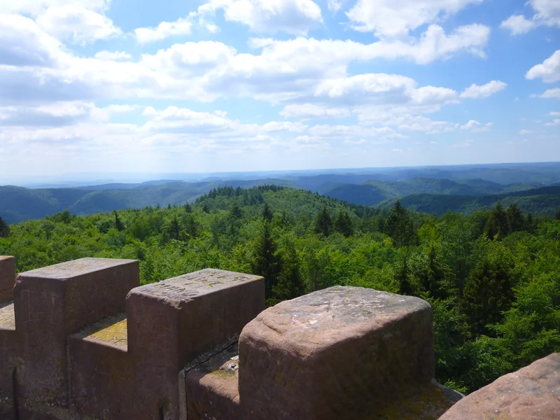 Randonnée Trésor des Vosges du Nord : Ascension du Grand Wintersberg · Niederbronn-les-Bains