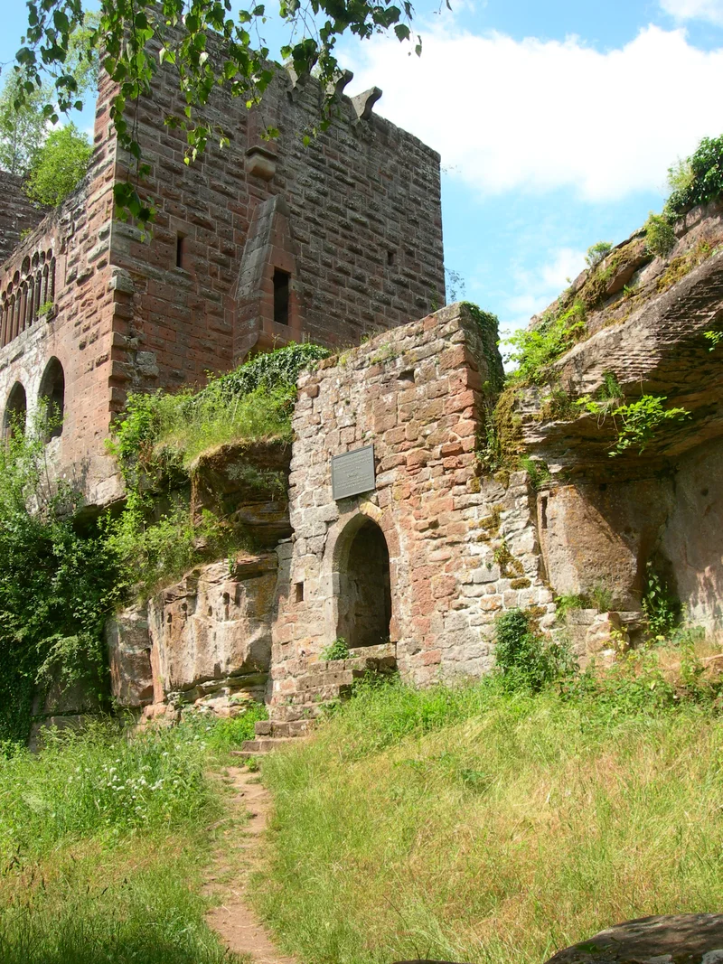 Randonnée Trésor des Vosges du Nord : Circuit de la Wasenbourg · Niederbronn-les-Bains