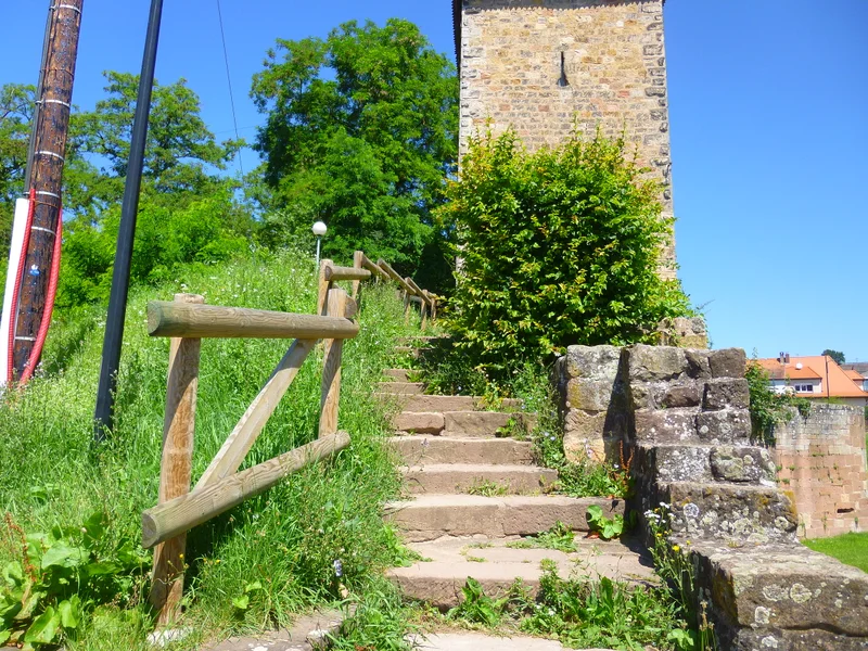 Randonnée Trésor des Vosges du Nord : Circuit viticole sans frontière · Wissembourg