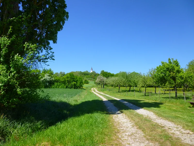 Randonnée Le Kirchberg, entre Thal et Berg · Berg centre