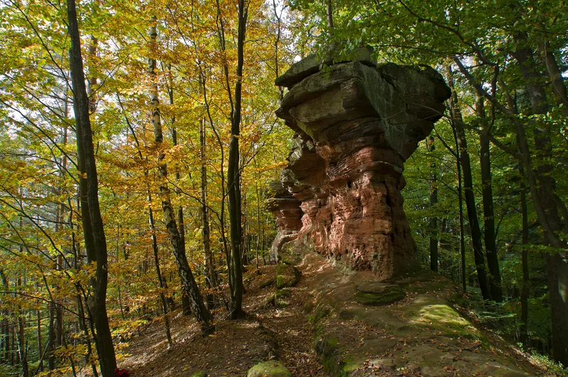 Randonnée De Châteaux en rochers autour d'Obersteinbach · Obersteinbach