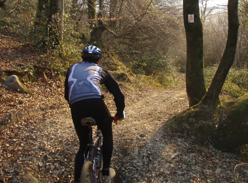 VTT De Dossenheim à Saverne · Dossenheim-sur-Zinsel