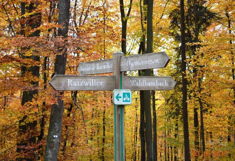 VTT Le Petit Grunewald · Waldhambach