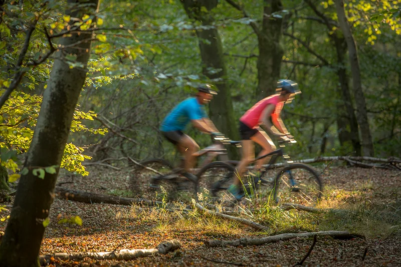 VTT Le Grand Grunewald · Waldhambach