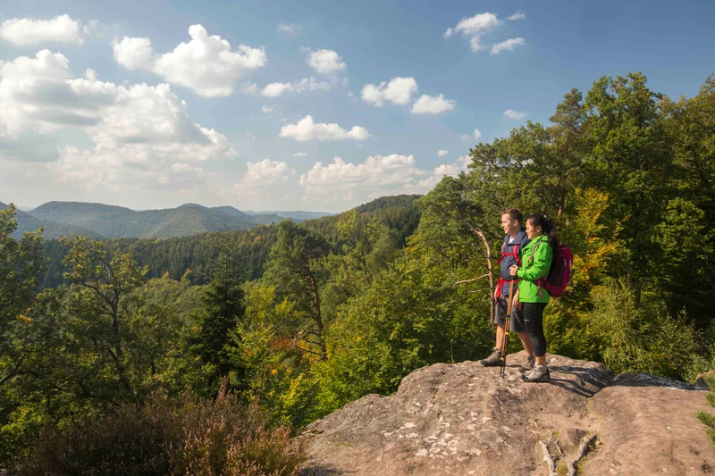 Randonnée GR®53 - la Traversée du Massif des Vosges · Wissembourg