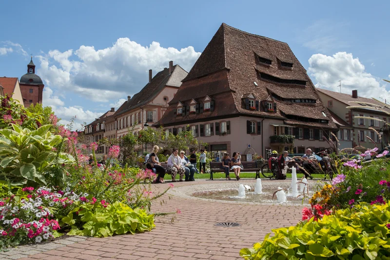 Randonnée GR®532 - variante à la Traversée du Massif des Vosges · Wissembourg