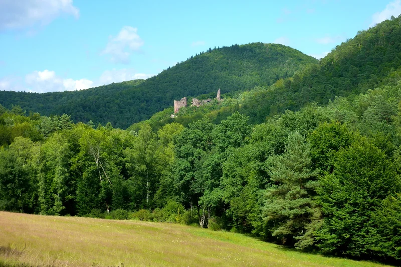 Vélo de route Tour de l'amitié · Obersteinbach