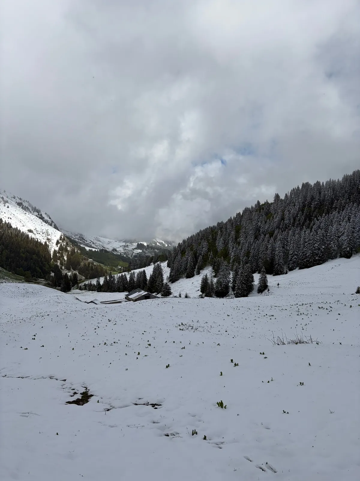 Randonnée Croix de Fer depuis le Col des Aravis · La Clusaz