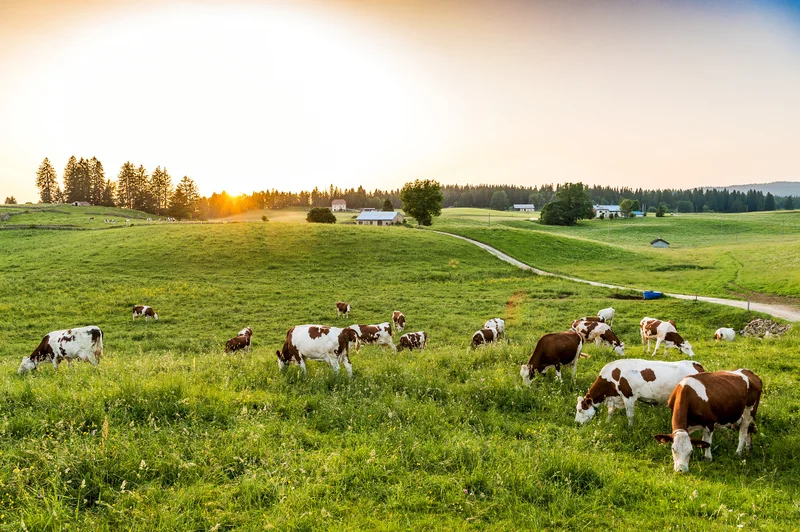 Ferme à la Station des Rousses · © Benjamin Becker/Jura Tourisme · Droits d'auteur