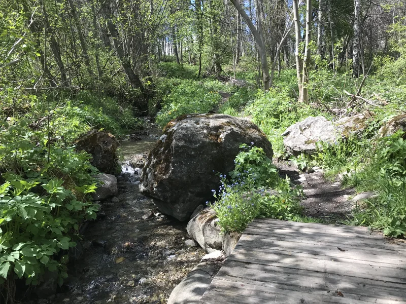 Trail Trail N°24 - Le circuit du Béal · Puy-Saint-Vincent