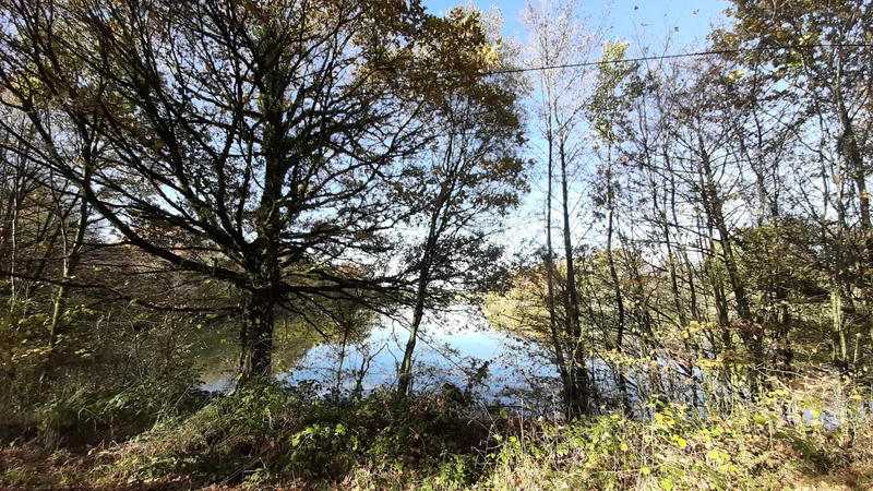 VTT Aux confins du Perche · La Bazoche-Gouet