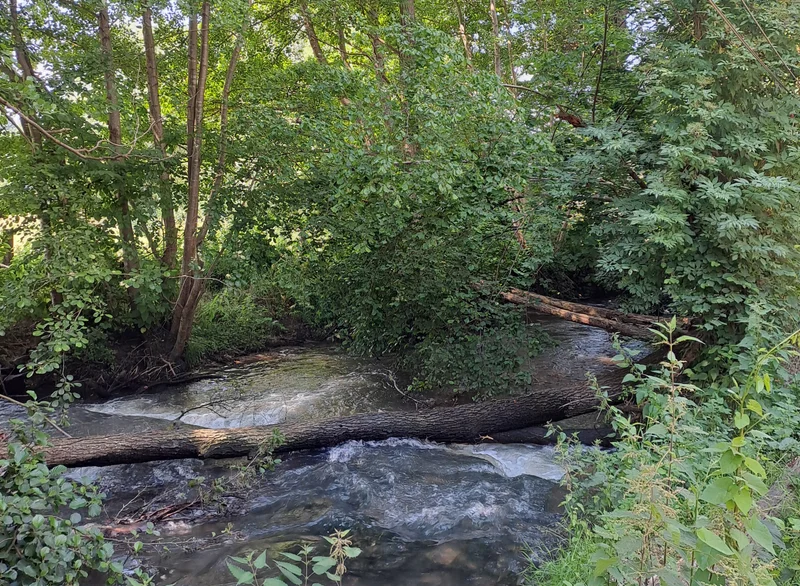 Randonnée En longeant la Cloche · Arcisses
