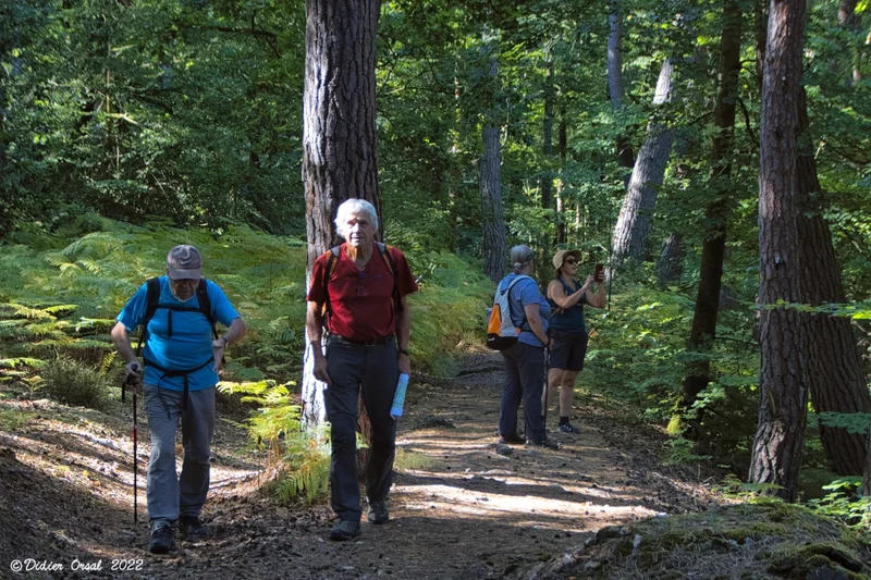 Randonnée Forêt et vallée de l'Eure · Fontaine-Simon