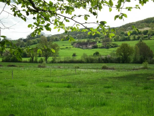 Randonnée La Corbonasière · Cour-Maugis sur Huisne