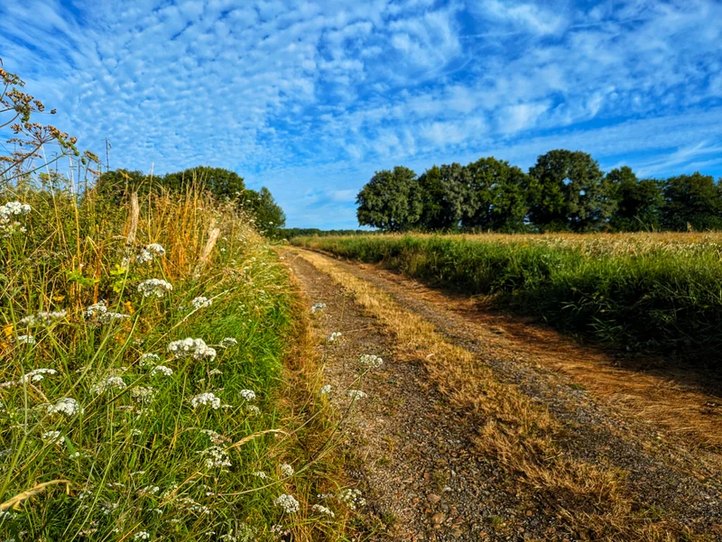 Randonnée La vallée de la Berthe · Vichères