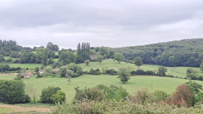Randonnée Le camp du châtelier · Belforêt-en-Perche