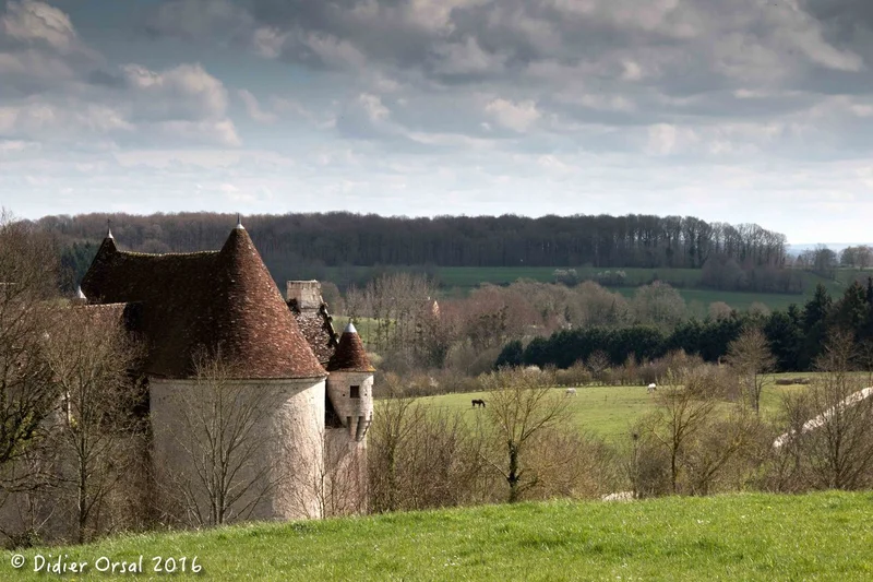Randonnée Le domaine de Courboyer · Perche en Nocé