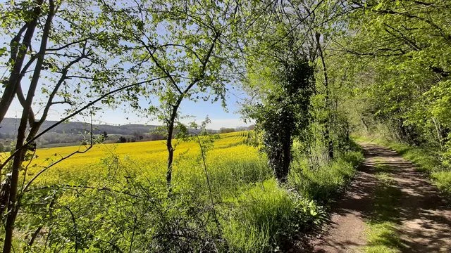 VTT Le Manoir de Boiscorde · Rémalard en Perche