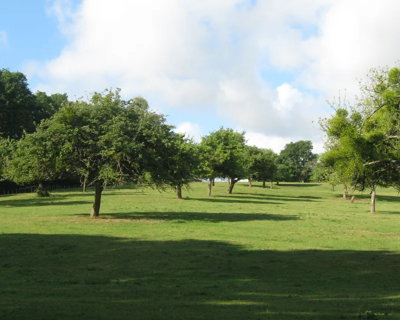 Randonnée Le Mont Cendrou · Val-au-Perche