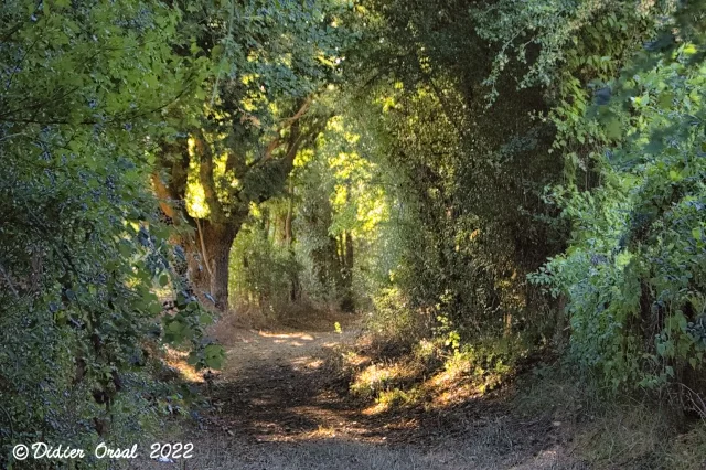 Randonnée Les chemins de l'histoire · Sablons sur Huisne