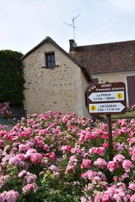 Randonnée Les Coudrais · Tourouvre au Perche