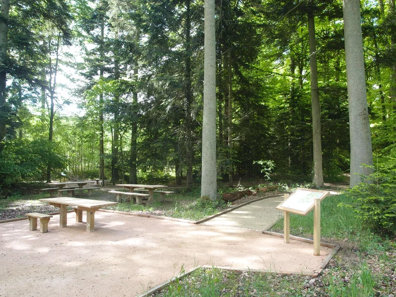 Randonnée Le sentier de l'Orée du bois · Senonches