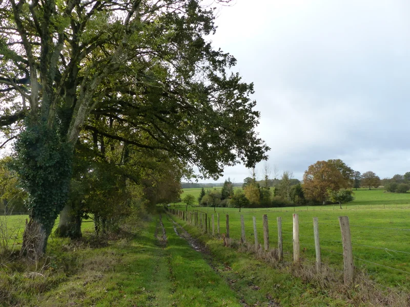 Randonnée Les Marnaux · Longny les Villages