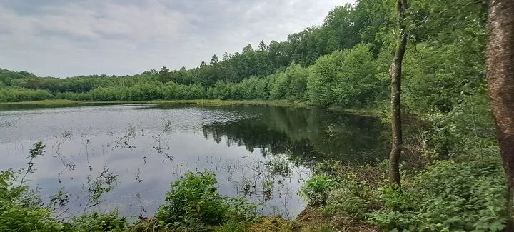 Randonnée Les ruines du château de Gannes · L'Hôme-Chamondot
