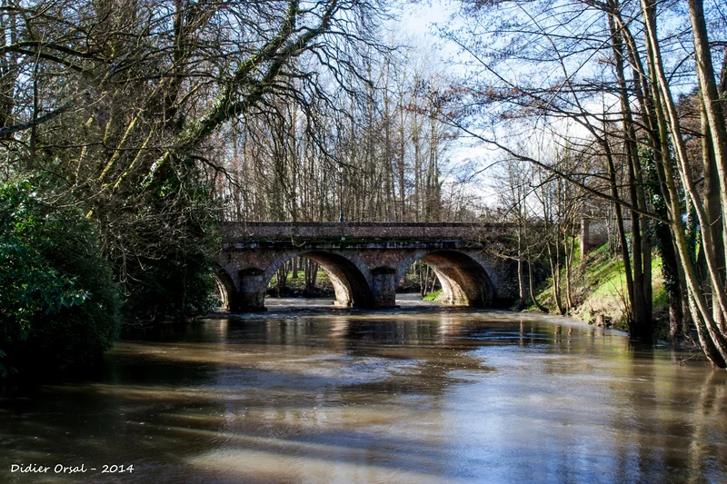 Randonnée Les Traversées Percheronnes · Nogent-le-Rotrou