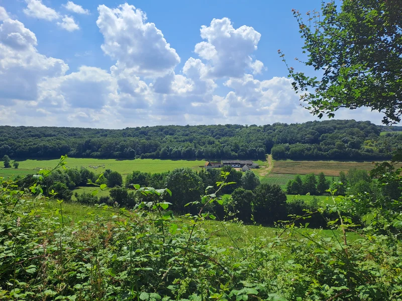 Randonnée Le val d'Ozée · Arcisses